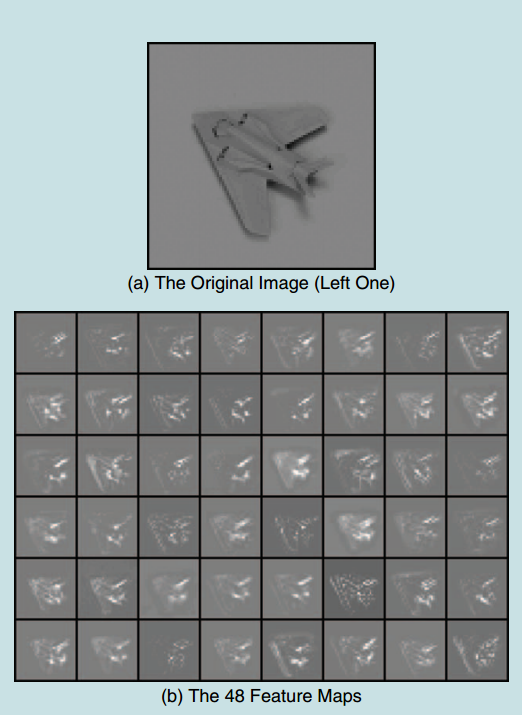 图11 一个样例：（a）原始图像；（b）48个特征图
